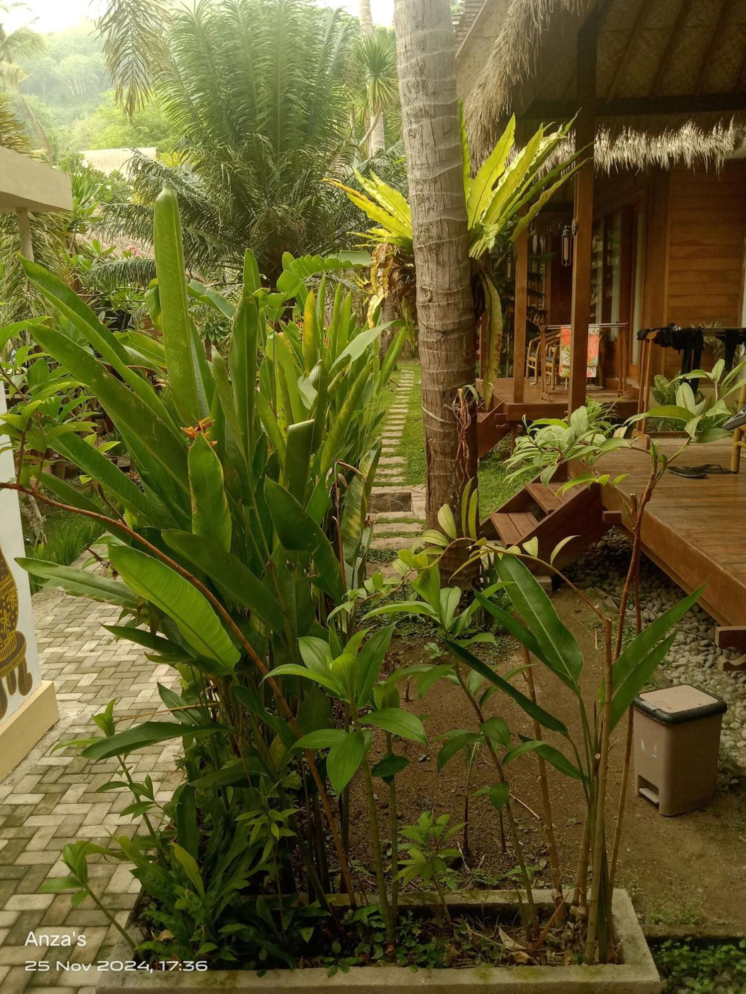 Village Vibes Lombok Kuta  Екстер'єр фото